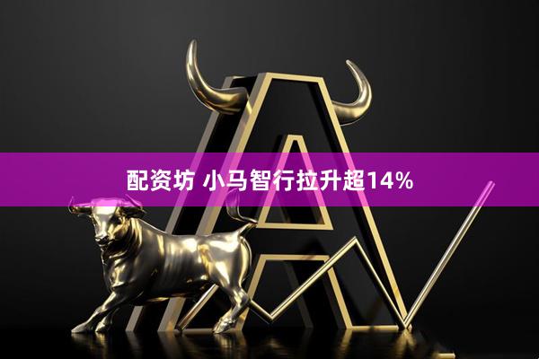 配资坊 小马智行拉升超14%